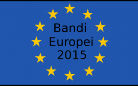 Bandiera Europea 2015