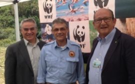 wwf monte arcosu